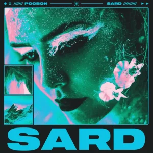 سرد